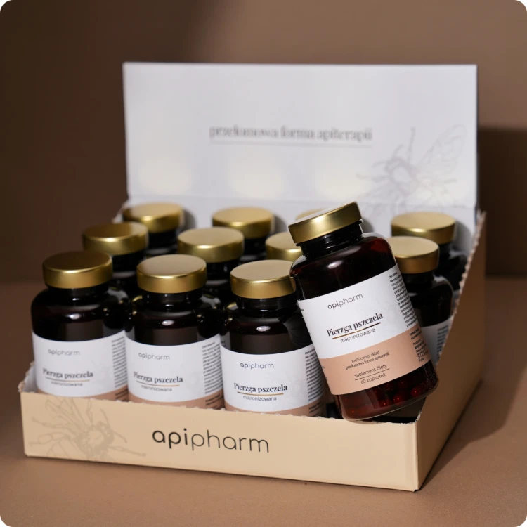zestaw-12x-pierzga-mikronizowana-w-kapsulkach-apipharm-karton-ekspozycyjny