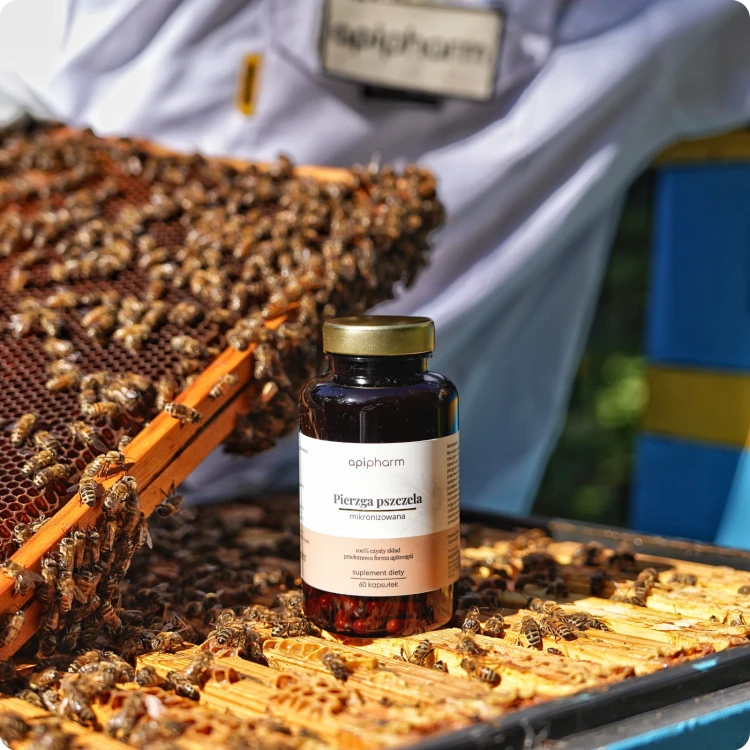 pierzga-pszczela-apipharm