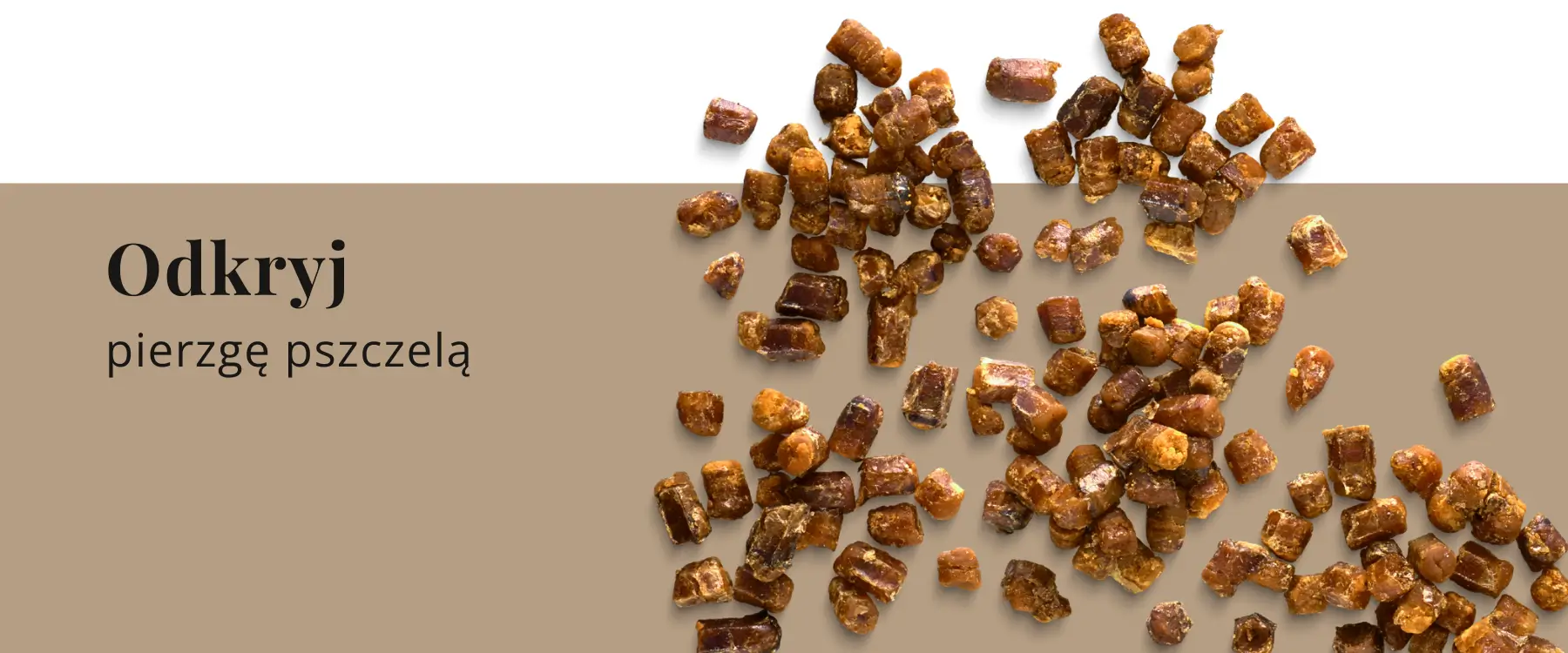 odkryj-pierzge-pszczela-apipharm
