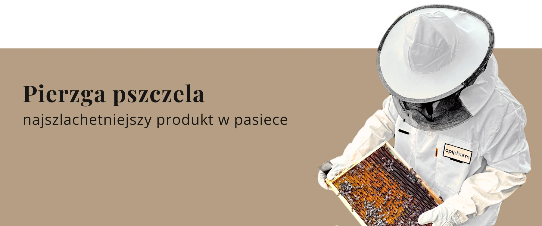 pierzga-pszczela-w-kapsulkach-apipharm