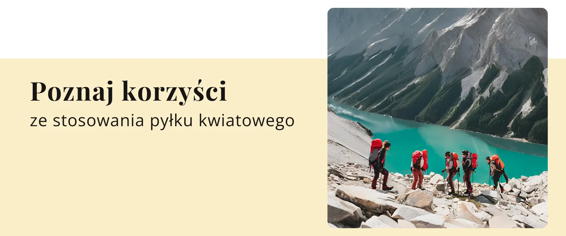 poznaj-korzysci-ze-stosowania-pylku-kwiatowego
